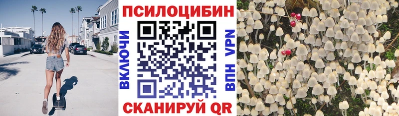 Псилоцибиновые грибы Psilocybe  Купить закладки  Усть-Джегута 